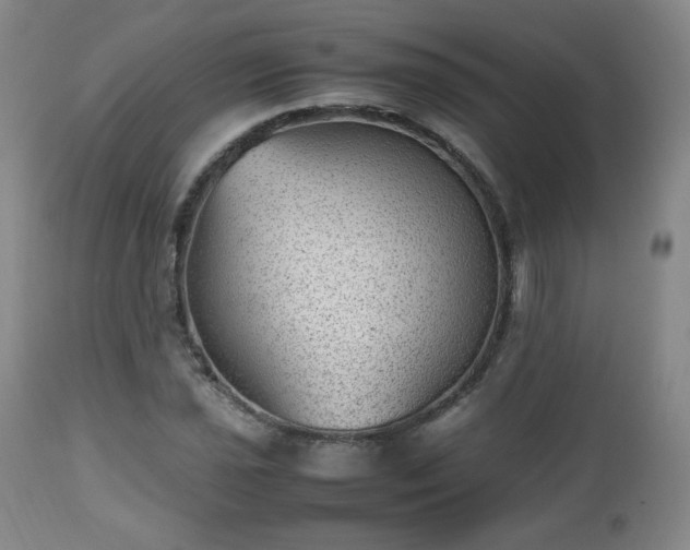 X0000112511021200908241414