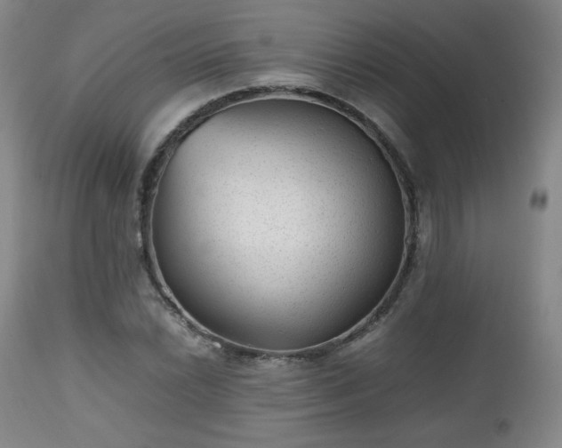 X0000112511022200908241415