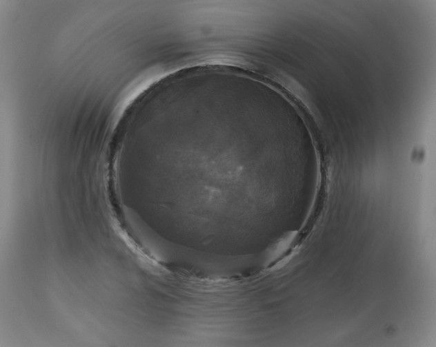 X0000112511024200908241415