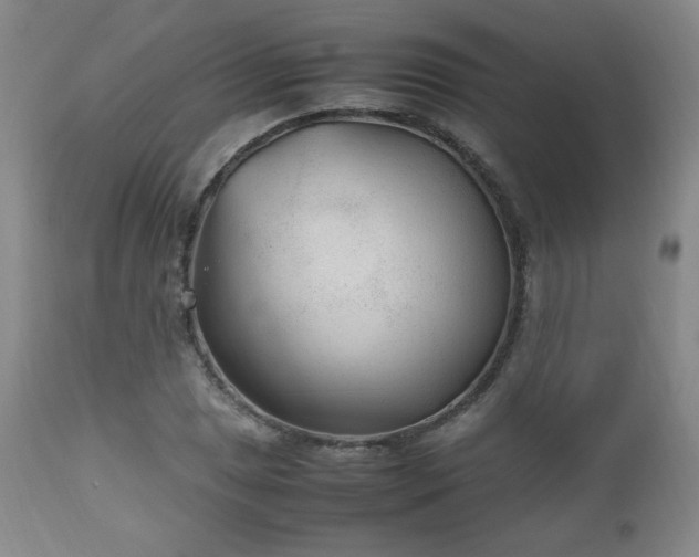 X0000112511025200908241415