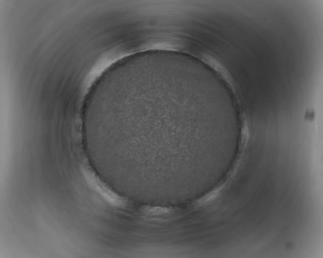 X0000112511027200908241415