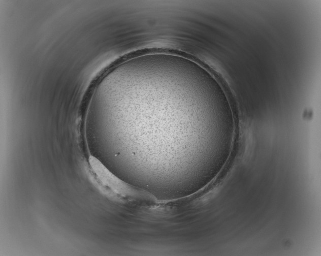 X0000112511029200908241415