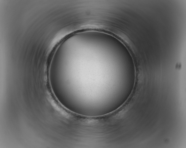 X0000112511030200908241415