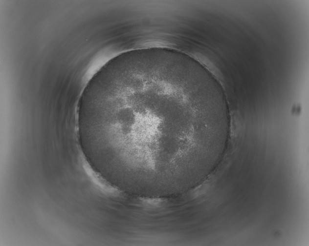 X0000112511031200908241415