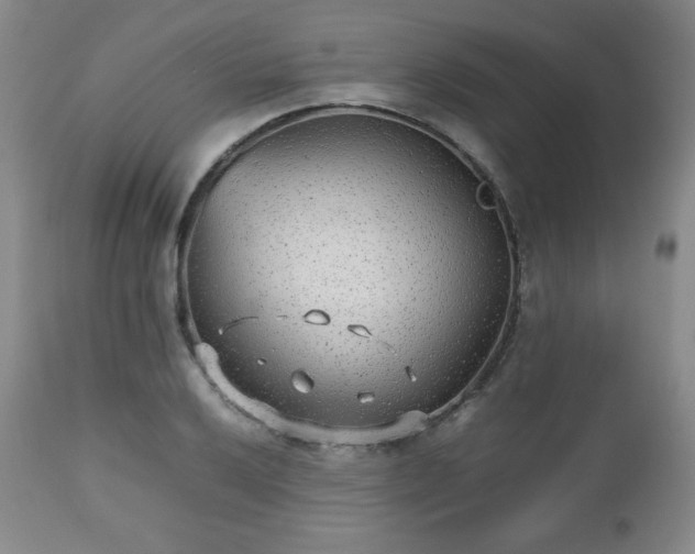 X0000112511032200908241415