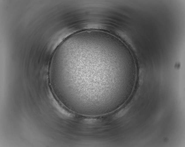 X0000112511033200908241415