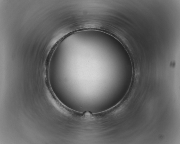 X0000112511034200908241415