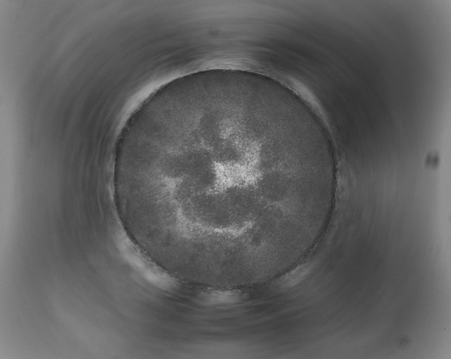 X0000112511035200908241415