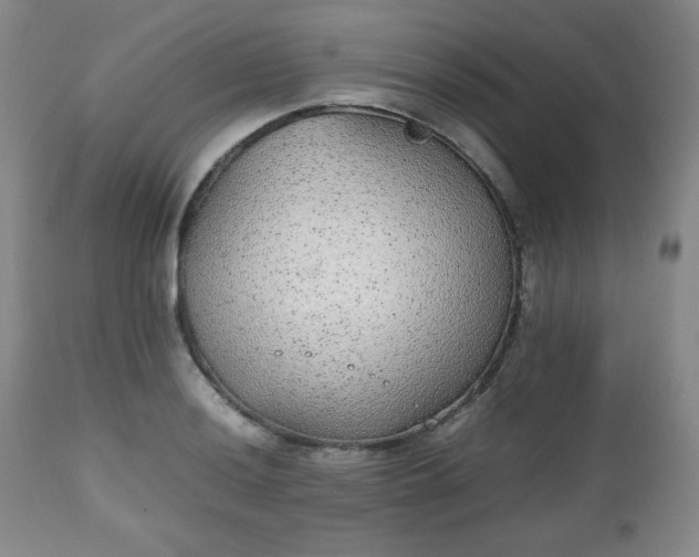 X0000112511036200908241415