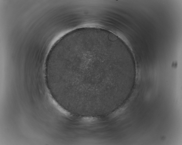 X0000112511037200908241415