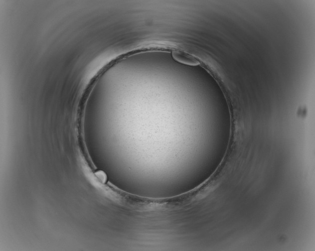 X0000112511038200908241415