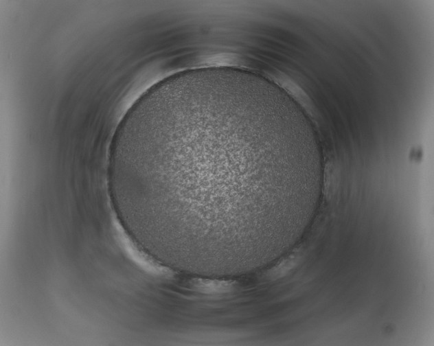 X0000112511039200908241415