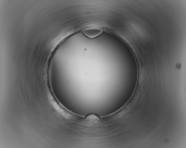 X0000112511042200908241415