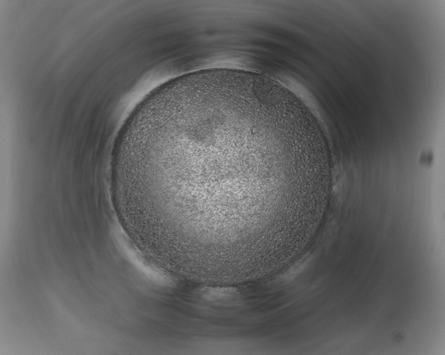 X0000112511043200908241415