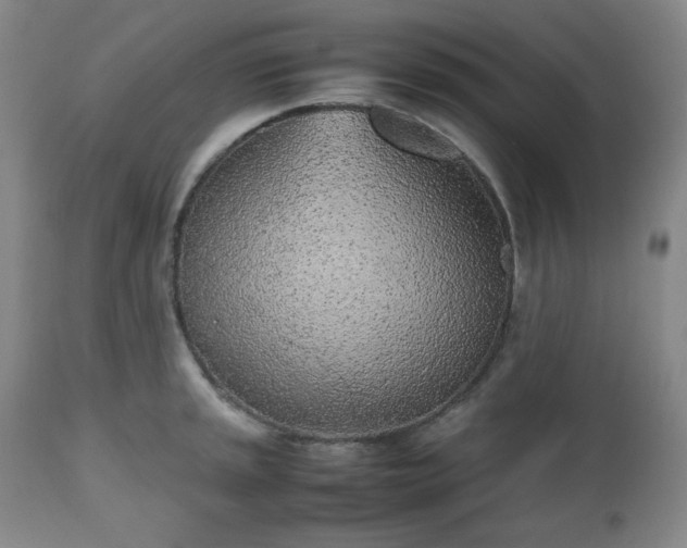 X0000112511045200908241415