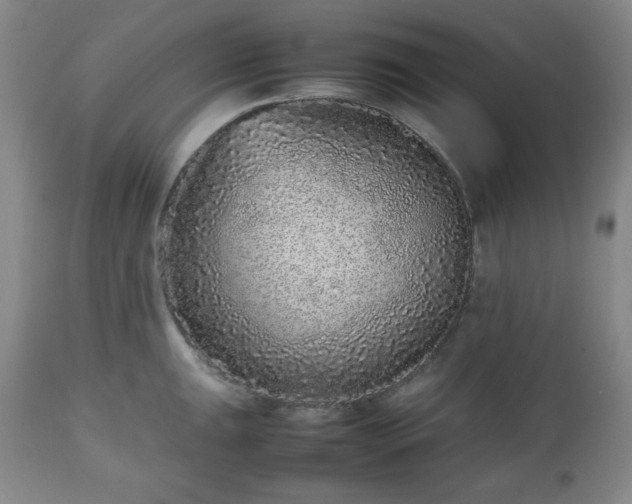 X0000112511047200908241415