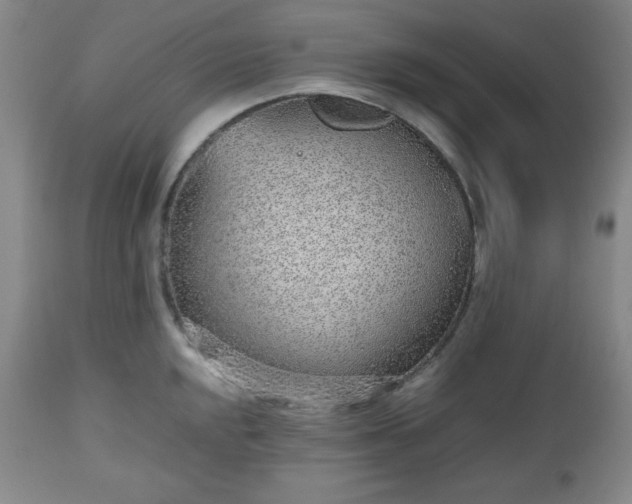 X0000112511048200908241415