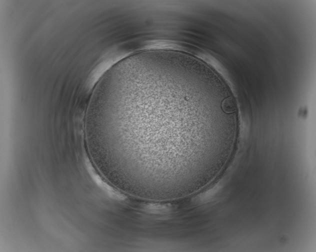 X0000112511049200908241415