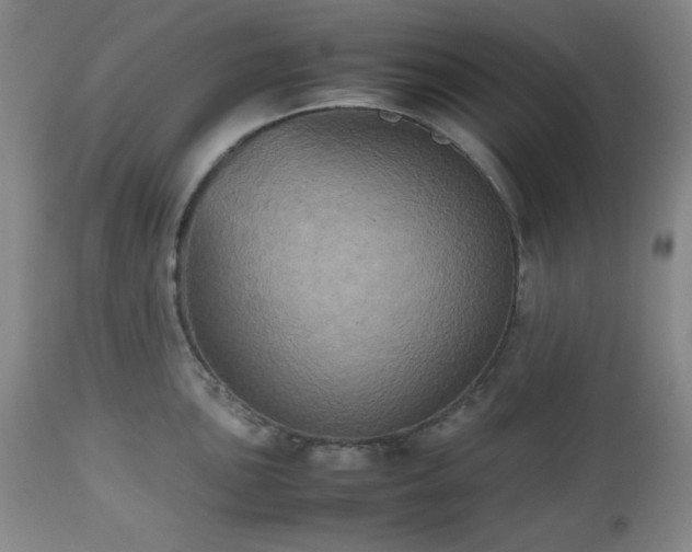 X0000112511051200908241415