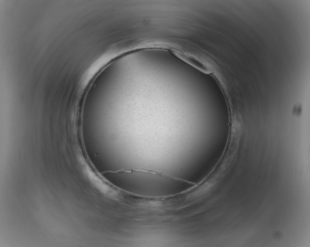 X0000112511054200908241415