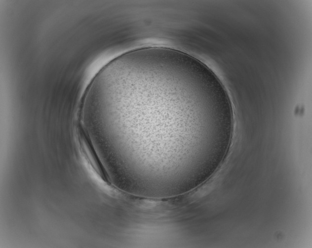 X0000112511056200908241415