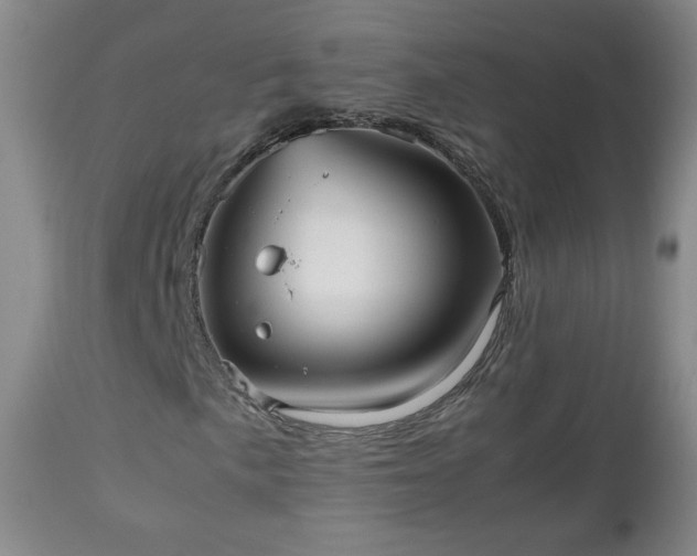 X0000112511057200908241414