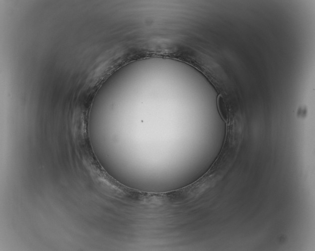 X0000112511058200908241414