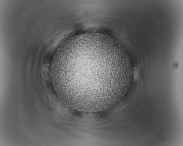 X0000112511059200908241414