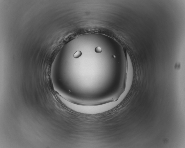 X0000112511060200908241414