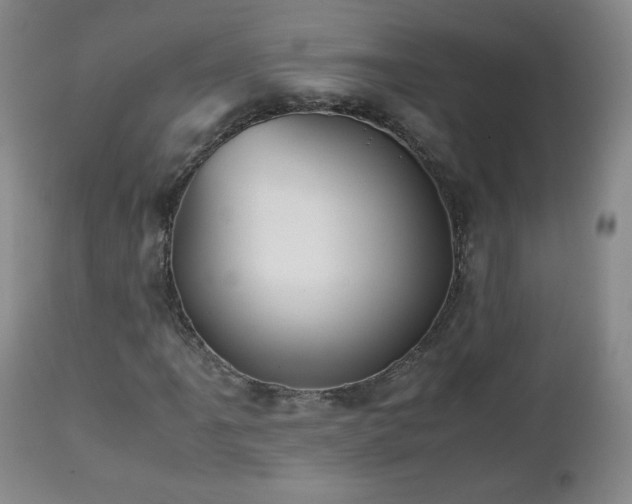 X0000112511061200908241414