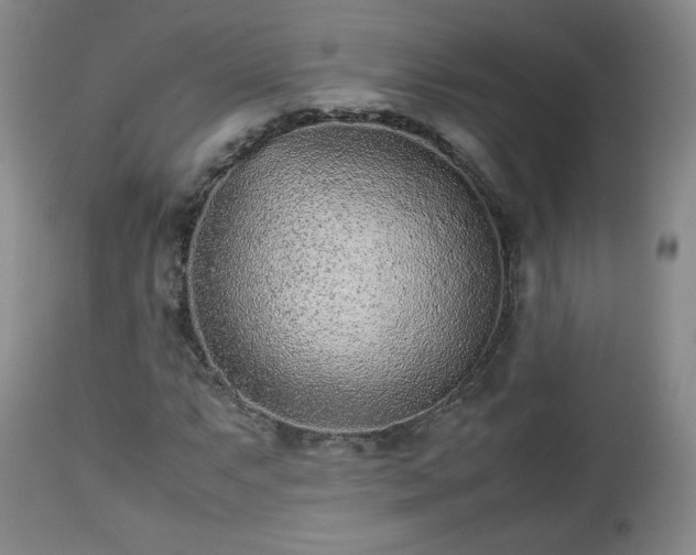 X0000112511063200908241414