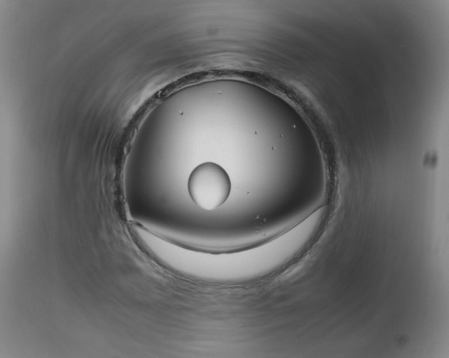 X0000112511065200908241414