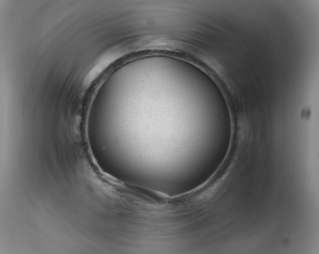 X0000112511066200908241414