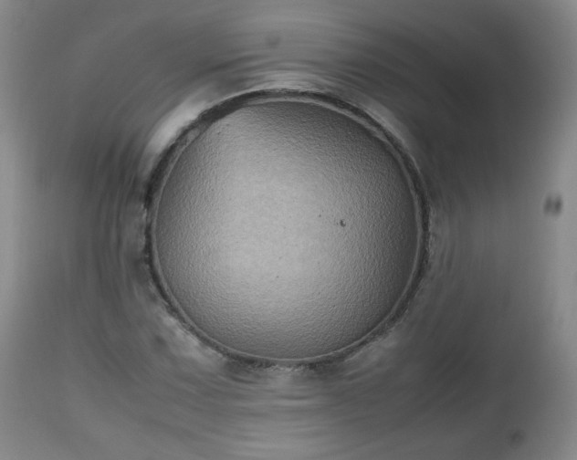 X0000112511067200908241414