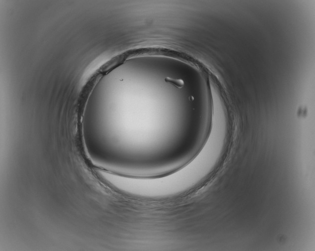 X0000112511069200908241414