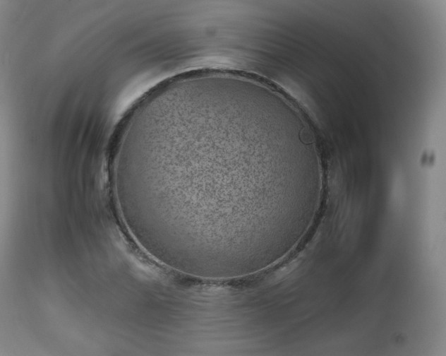 X0000112511070200908241414