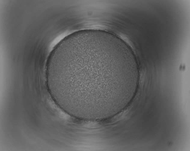 X0000112511071200908241414