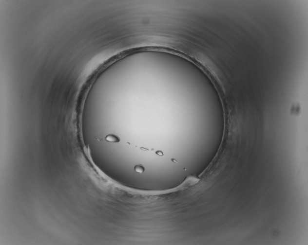 X0000112511072200908241414