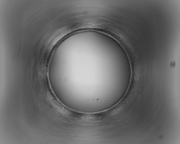 X0000112511073200908241414