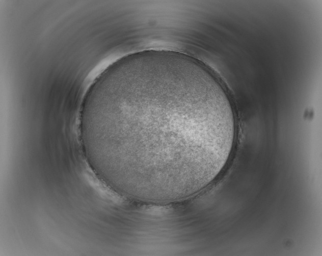 X0000112511074200908241414