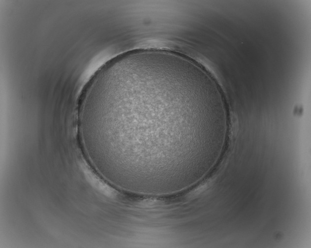 X0000112511075200908241414