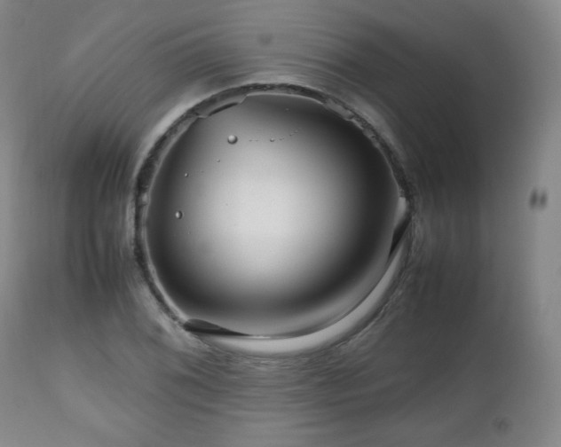 X0000112511076200908241414