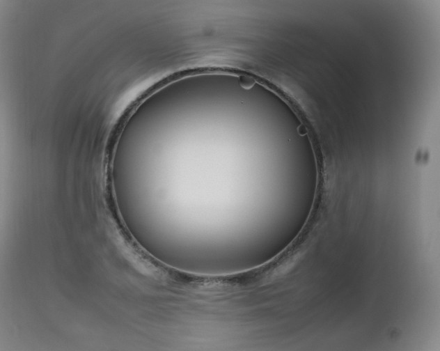 X0000112511077200908241414