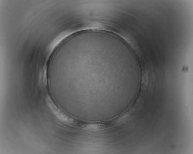 X0000112511078200908241414