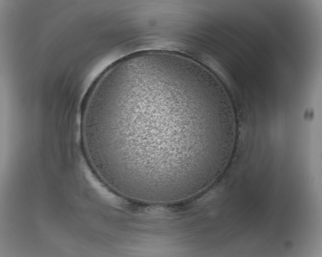 X0000112511079200908241414