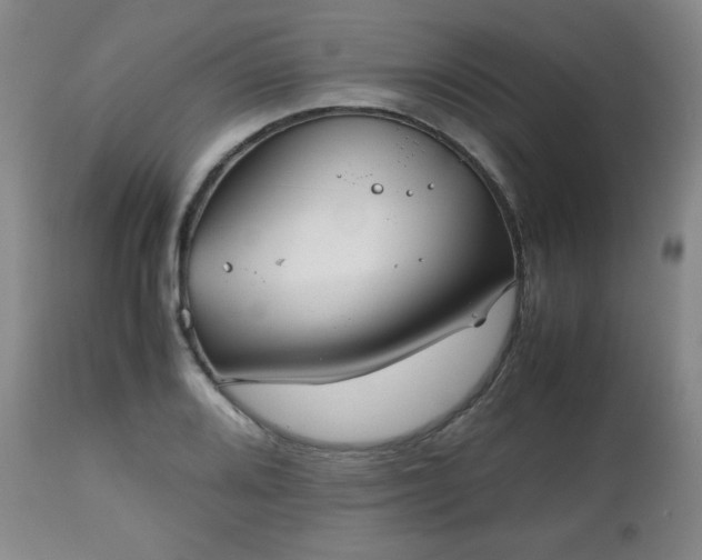 X0000112511080200908241414