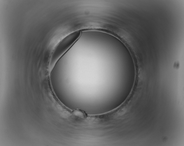 X0000112511081200908241414