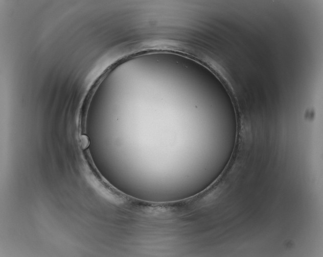 X0000112511082200908241414