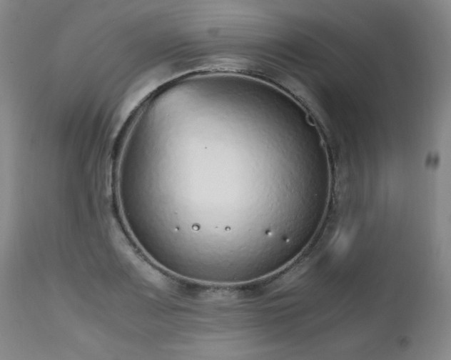 X0000112511083200908241414