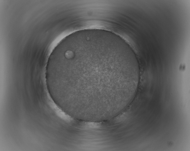 X0000112511086200908241414